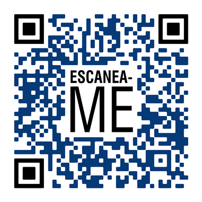 Plan Feedback Spanish